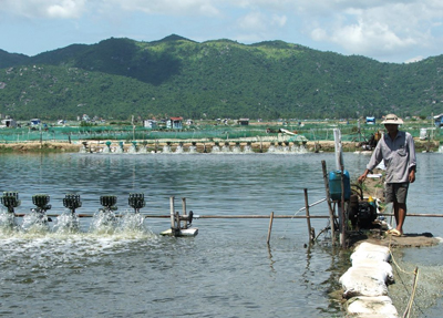 20171108175449dam tom dl4