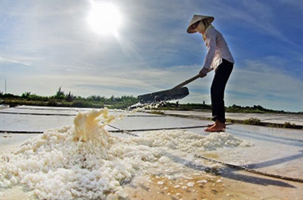 20171108175449lam muoi dl4