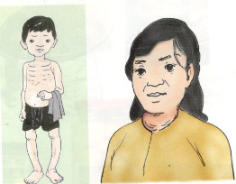 2017110821291512-2-kh4-1 2017110821291512 2 kh4 1