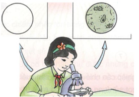 201711082132162 tr52 kh4 1