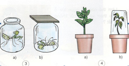 201711082137183 tr72 kh4 1