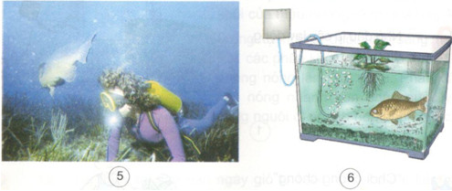 2017110821372740tr73 kh4 1