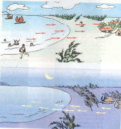 201711082138165-tr75-kh4-1 201711082138165 tr75 kh4 1