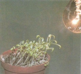 201711082140581 tr940kh4 1