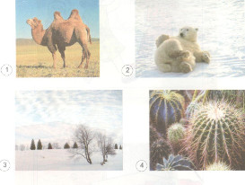 201711082142541 tr108 kh4 1