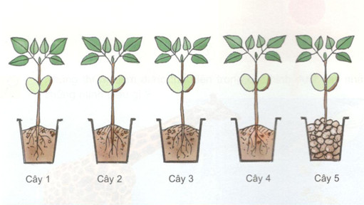 201711082143521 tr114 hk4 1