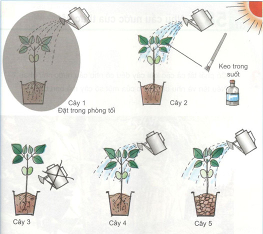 201711082143521 tr115 kh4