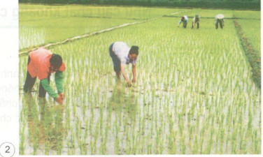 201711082144182 kh4 1