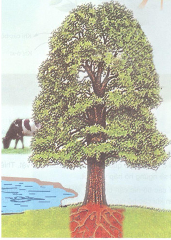 201711082144431 tr122 kh4 1