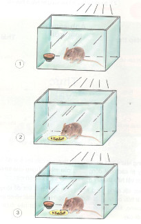 201711082144581 tr124 kh4 1 1