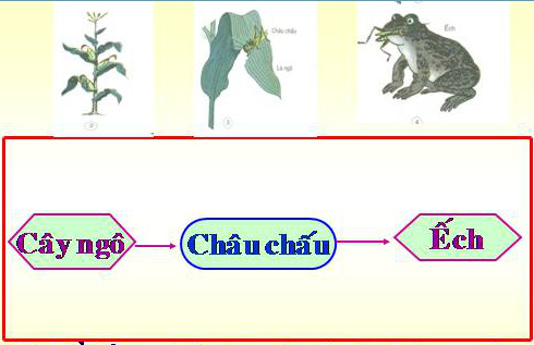 201711082145353 tr131 kh4 1