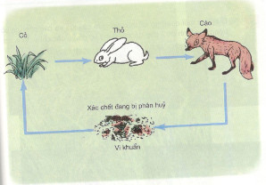 201711082145461 tr133 kh4 1