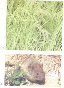 201711082145561 tr134 kh4 1