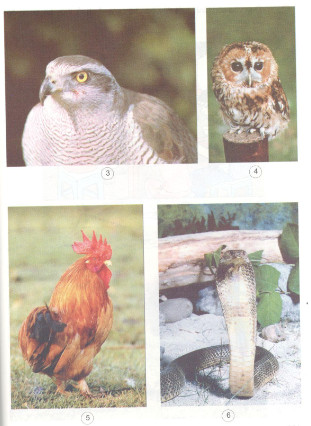 201711082145562 tr134 kh4