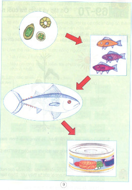 201711082146022 tr136 kh4