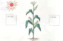 201711082146161 tr138 kh4 1