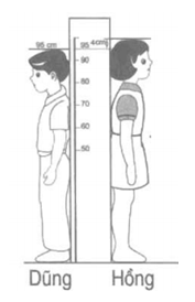 20171118001348bai 23 1 1