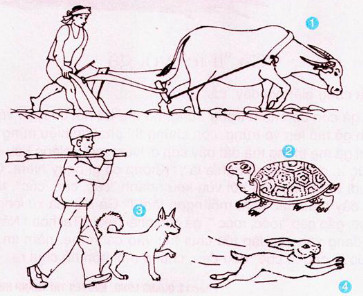 20171121001402tuan 171 ltvc vbt tv 2 t1