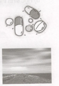 20171221170752hinh chinh ta t21 1