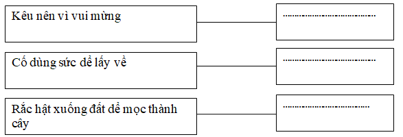 20171221170755hinh chinh ta t22 1