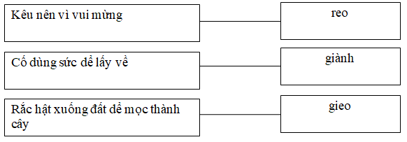20171221170755hinh chinh ta t223 1