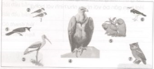 20171221170757hinh luyen tu va cau t22 1