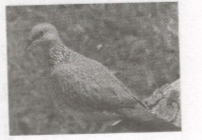 20171221170759hinh tap lam van t22