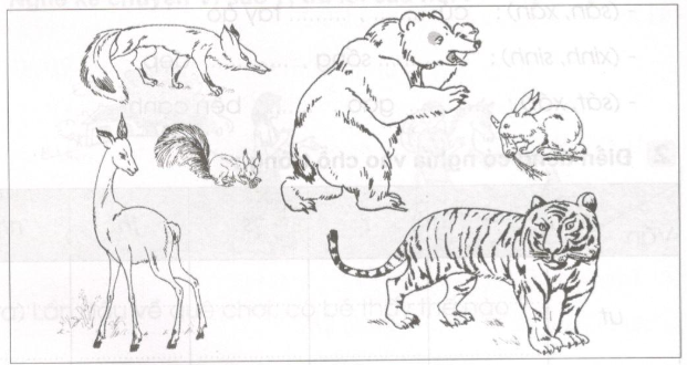 20171221170805hinh luyen tu va cau t24 1