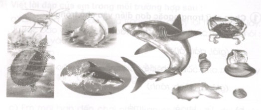 20171221170814hinh luyen tu va cau t262 1