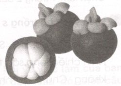 20171221170832hinh tap lam van t28 1