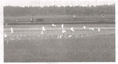 20171223170737chinh-ta-t22-c_1 20171223170737chinh ta t22 c 1