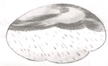 20171226170829chinh ta t31 b