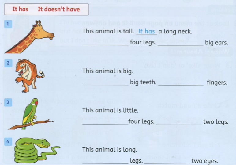 20190408094253anh 9 ff2