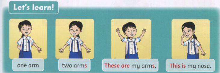 20190408094338anh 52 ff2