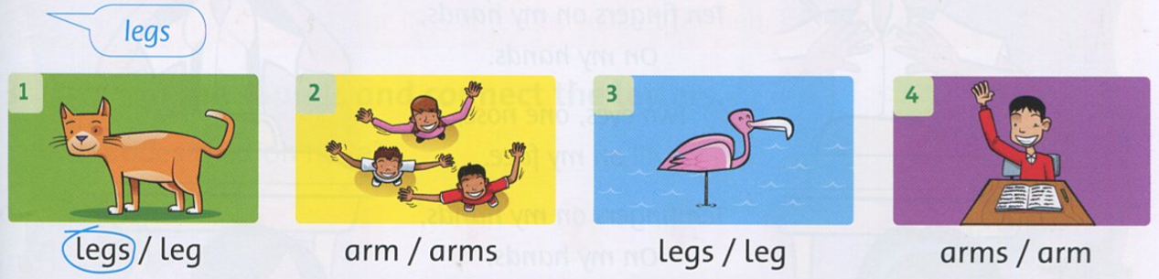 20190408094338anh 56 ff2