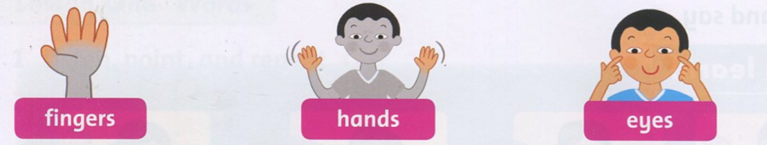 20190408094341anh 58 ff2 1