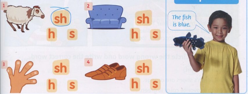 20190408094448hinh 70 ff2