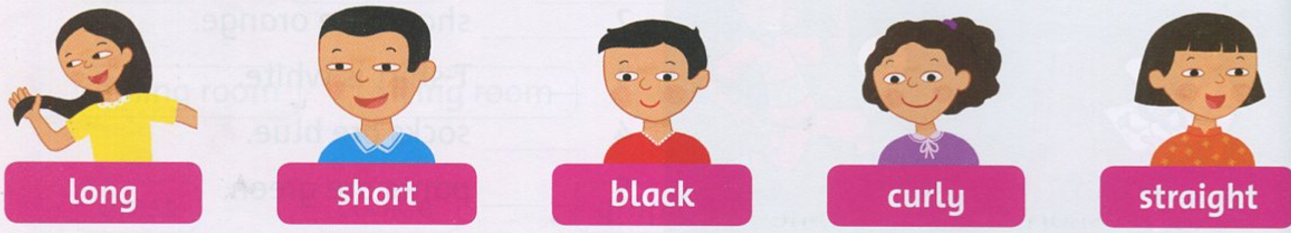 20190408094528a1 ff2