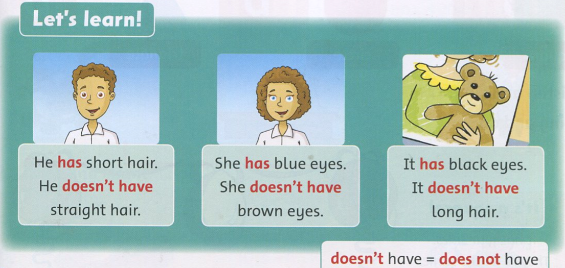 20190408094533a3 ff2 1