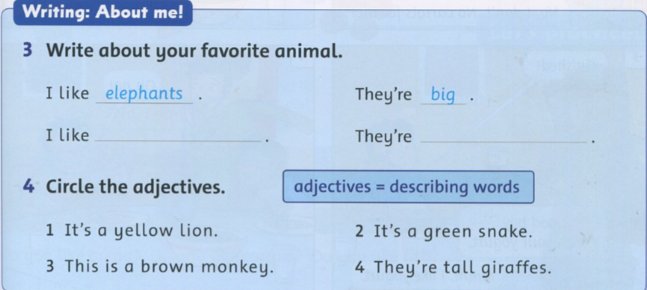 20190408094618a26 ff2