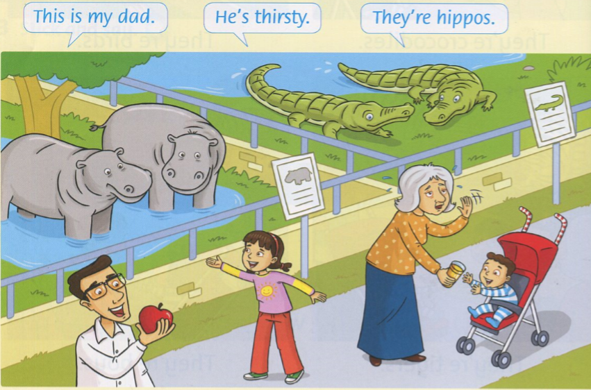 20190408094937a2 ff1