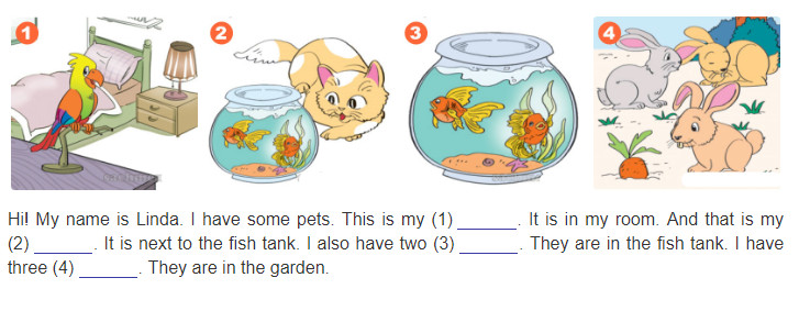 20190614041812pic-11-unit-16-ta3m