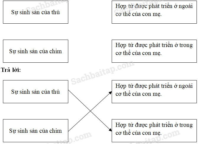20190614043616hinh 304 khoa hoc 5 sgk ddn 1