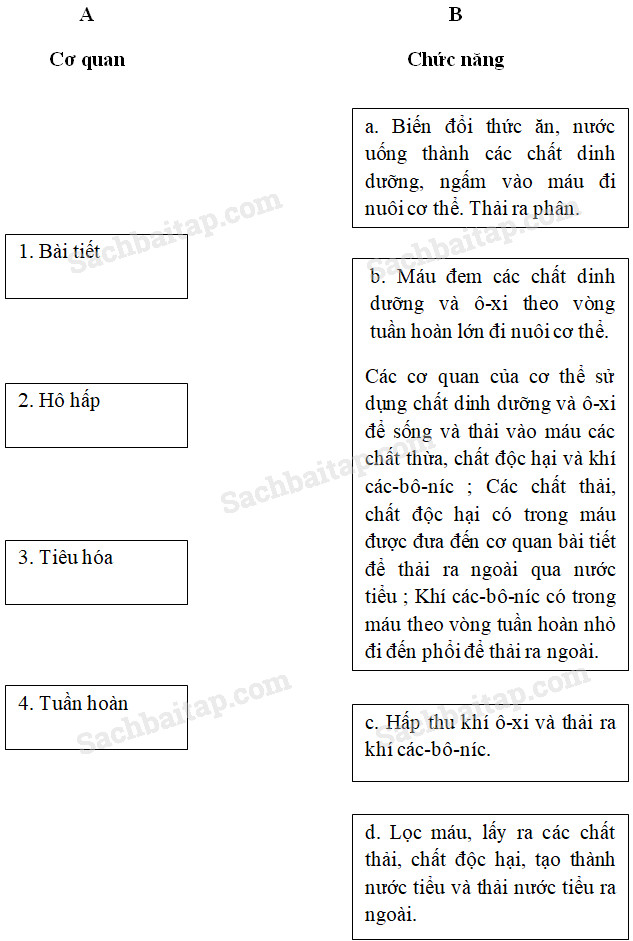 20190614045800hinh 14 khoa hoc 4 vbt ddn 1