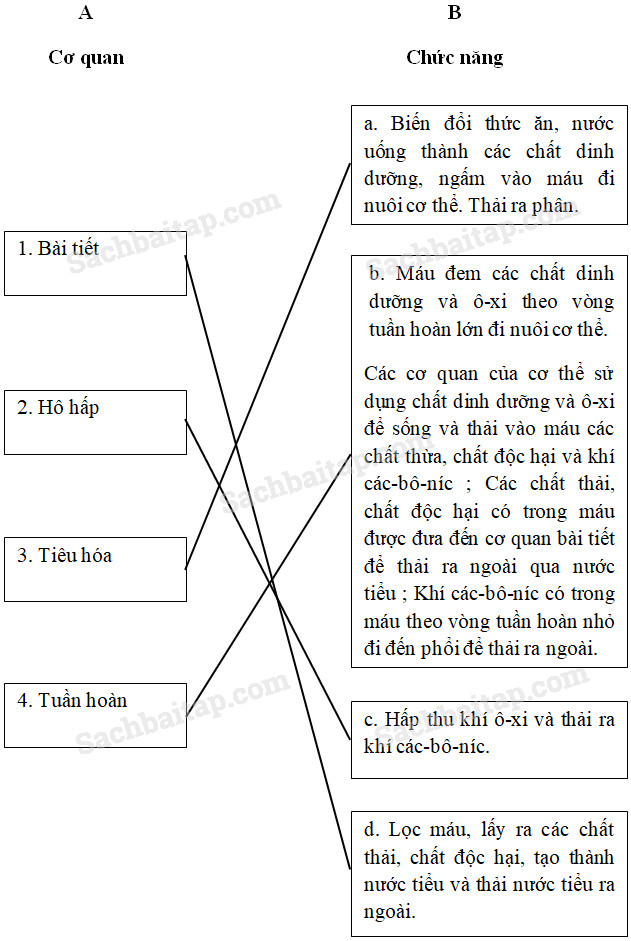 20190614045800hinh 15 khoa hoc 4 vbt ddn