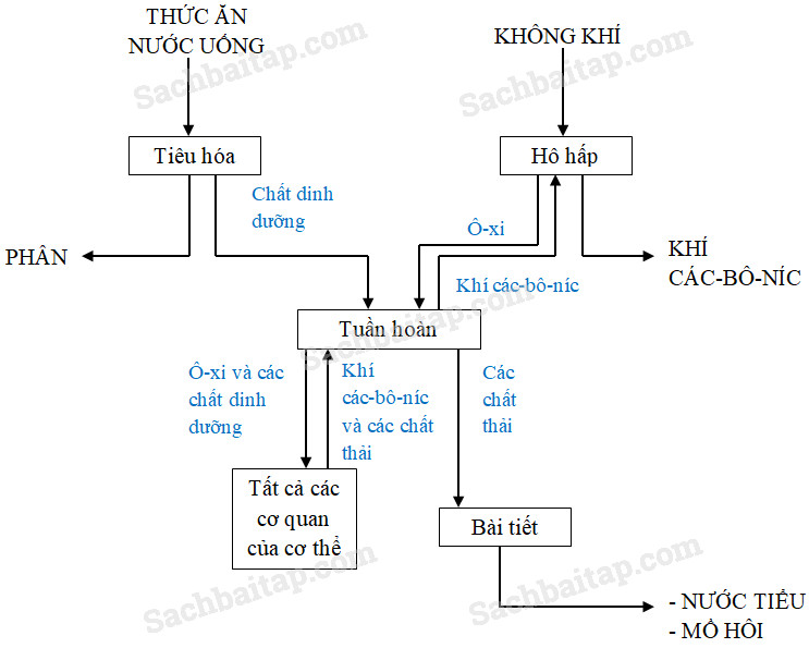 20190614045801hinh 16 khoa hoc 4 vbt ddn