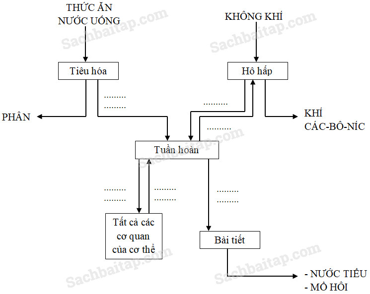 20190614045801hinh 17 khoa hoc 4 vbt ddn 1