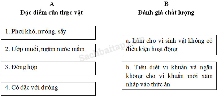 20190614045819hinh 53 khoa hoc 4 vbt ddn 1