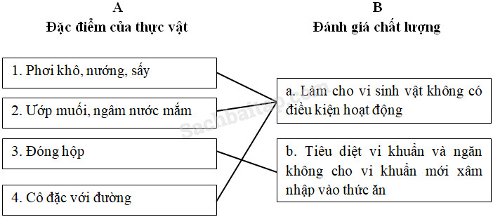 20190614045819hinh 54 khoa hoc 4 vbt ddn 1