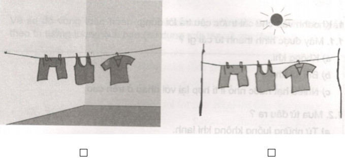 20190614045840hinh 96 khoa hoc 4 vbt ddn 1